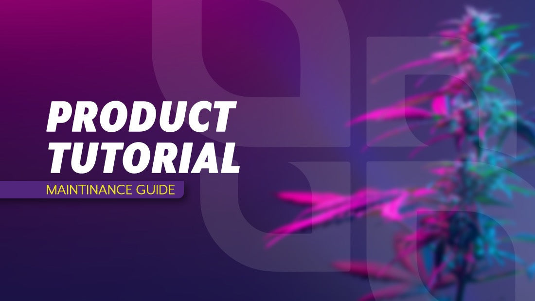 A Beginner's Guide to Using the PAX Plus Dry Herb Vaporiser Bailiwick Botanicals A Beginner's Guide to Using the PAX Plus Dry Herb Vaporiser Bailiwick Botanicals