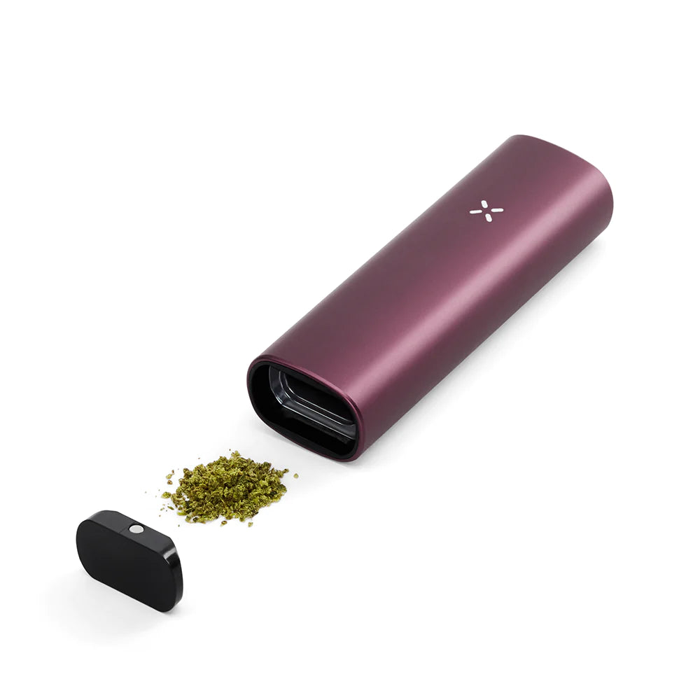 PAX - Plus