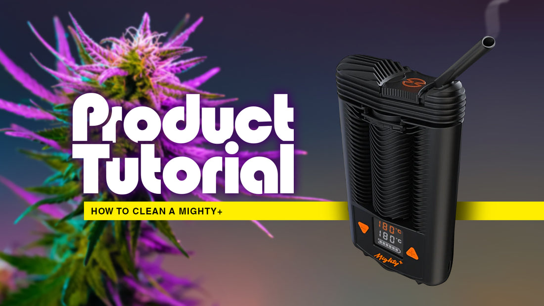 Product Tutorial – Cleaning a Mighty+