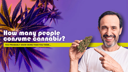 How many people consume cannabis?