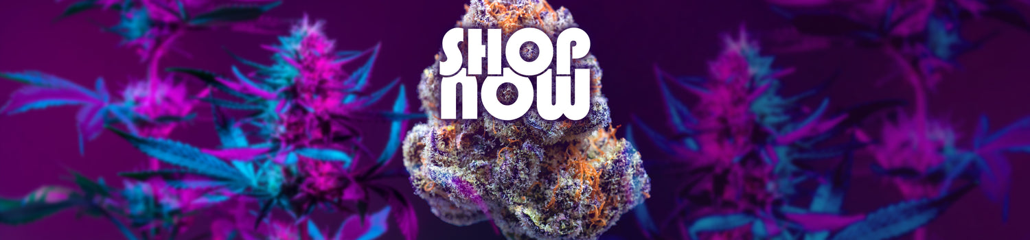 Shop now, the best prices for dry herb vapes, grinders, consumables, accessories, and more